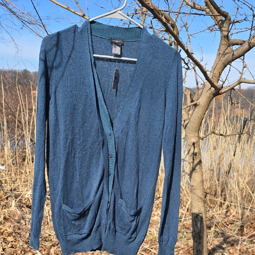 Ann Taylor Teal Blue V-Neck Button Cardigan
